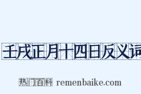 壬戌正月十四日反义词是什么意思的图片